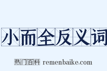 小而全反义词是什么意思的图片